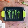 Plancha con rayas Foodie