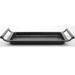 Plancha lisa Efficient