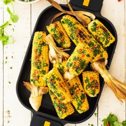 Plancha Origen
