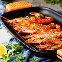 Plancha rectangular lisa Efficent Iron